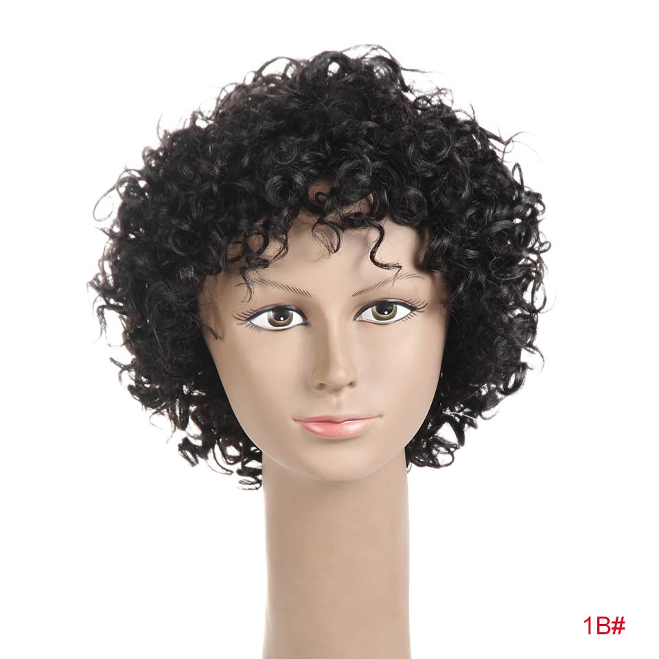 Remy Bouncy Curly Wig